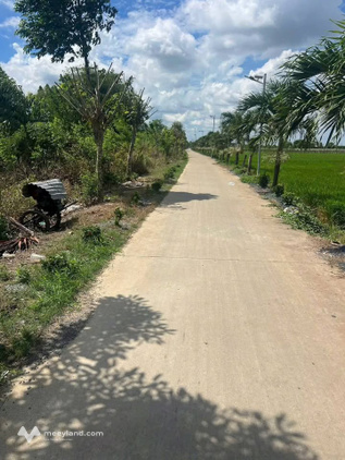 Bất động sản tại Long An - ảnh 1