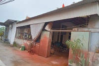 Bất động sản tại Đắk Lắk - ảnh 1