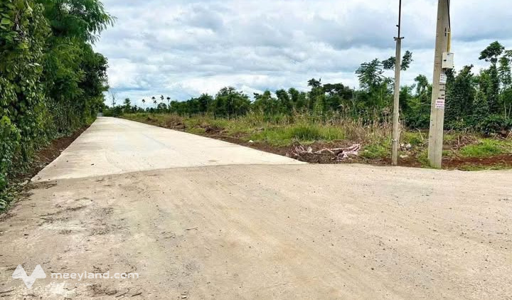 Bất động sản tại Đắk Lắk - ảnh 1