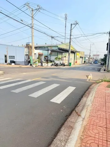 Bất động sản tại Đắk Lắk - ảnh 1