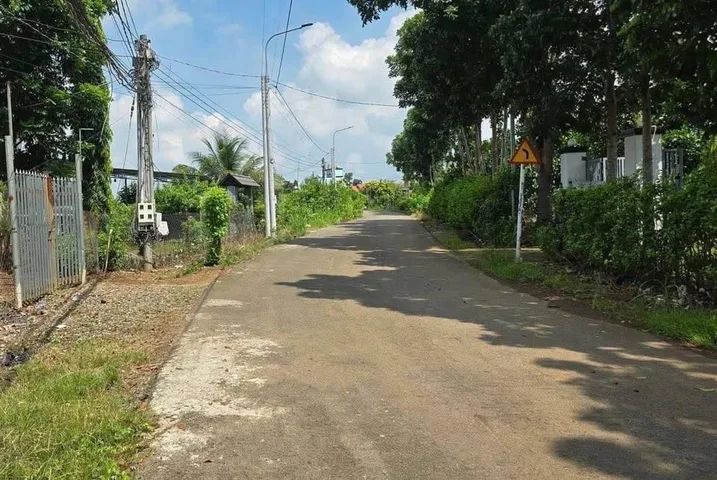 Bất động sản tại Bình Dương - ảnh 1