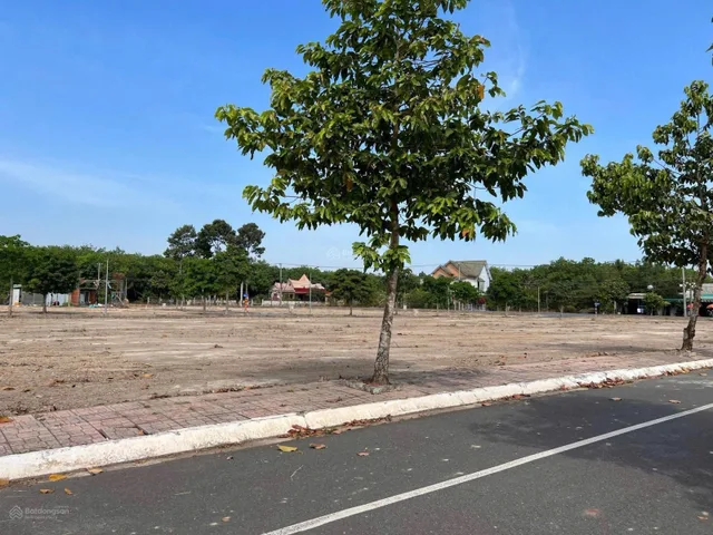 Bất động sản tại Đồng Nai - ảnh 1