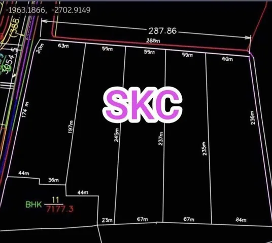 Bất động sản tại Bình Dương - ảnh 1