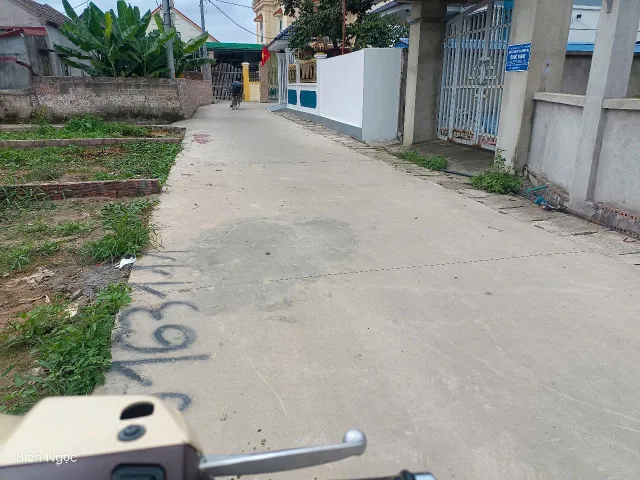 Bất động sản tại Hải Phòng - ảnh 1