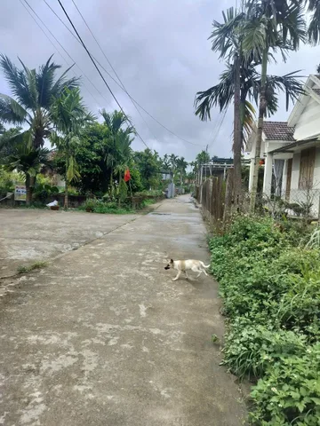 Bất động sản tại Quảng Ngãi - ảnh 1