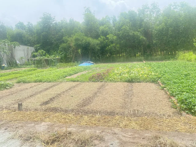 Bất động sản tại Bình Dương - ảnh 1