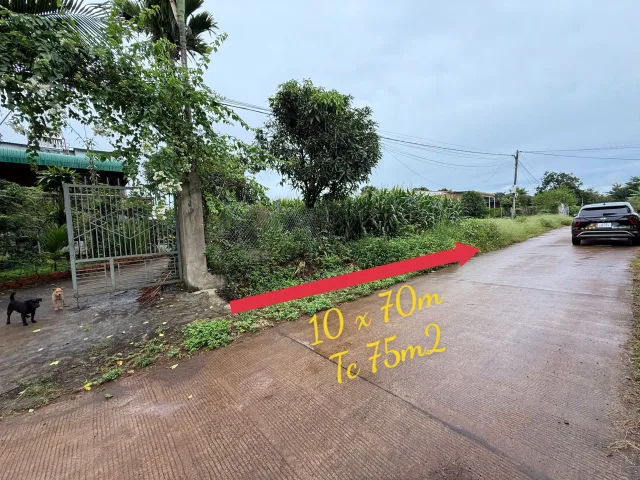 Bất động sản tại Đắk Lắk - ảnh 1