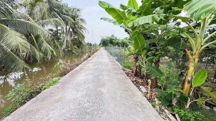 Bất động sản tại Hải Phòng - ảnh 1