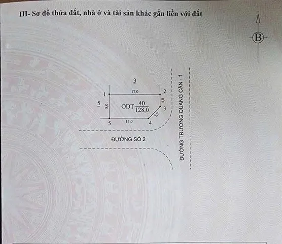 Bất động sản tại Quảng Ngãi - ảnh 1