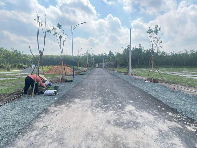 Bất động sản tại Bình Phước - ảnh 1