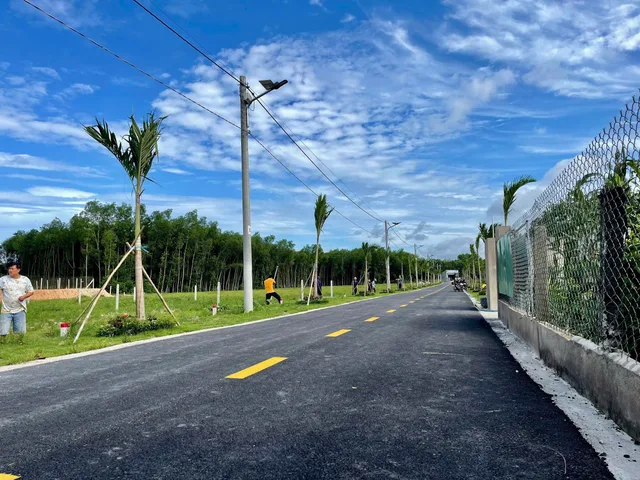 Bất động sản tại Bình Dương - ảnh 1