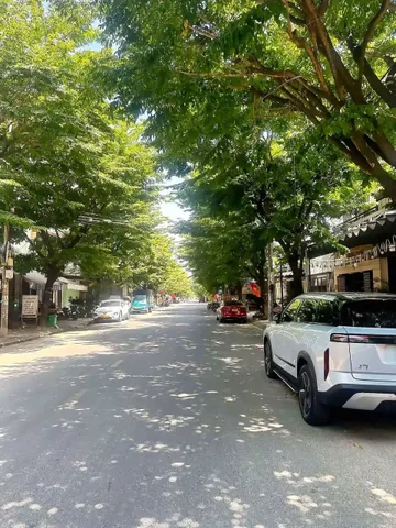 Bất động sản tại Đà Nẵng - ảnh 1