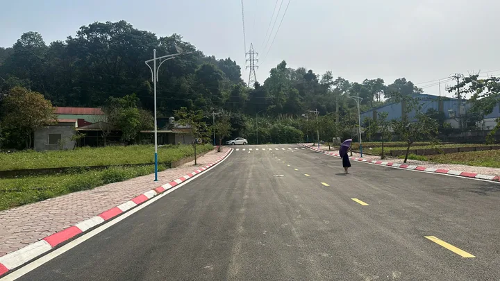 Bất động sản tại Phú Thọ - ảnh 1
