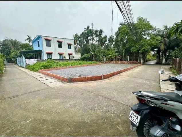 Bất động sản tại Bình Dương - ảnh 1