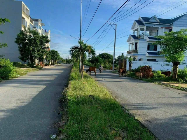 Bất động sản tại Long An - ảnh 1