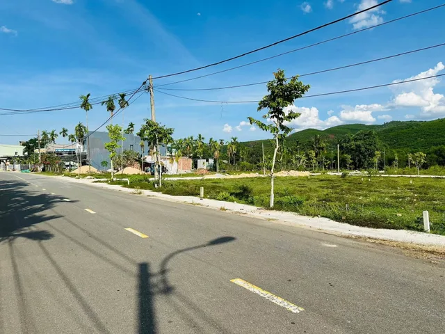 Bất động sản tại Đà Nẵng - ảnh 1