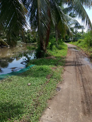Bất động sản tại An Giang - ảnh 1