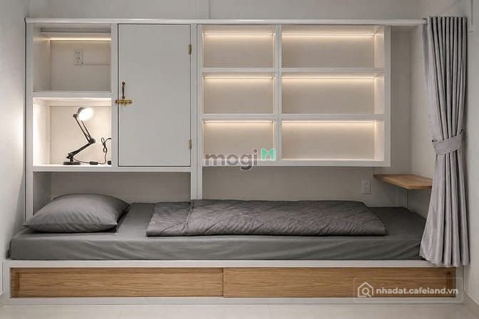 Bất động sản tại TP. Hồ Chí Minh - ảnh 1