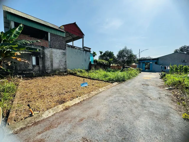 Bất động sản tại Hải Phòng - ảnh 1