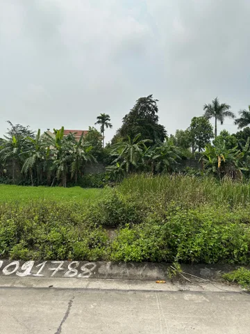 Bất động sản tại Ninh Bình - ảnh 1