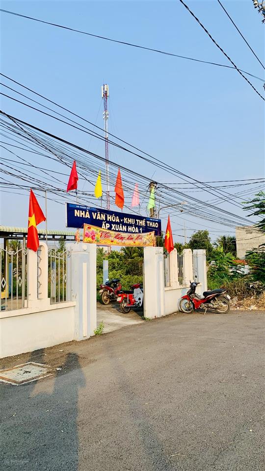 Bất động sản tại Long An - ảnh 1
