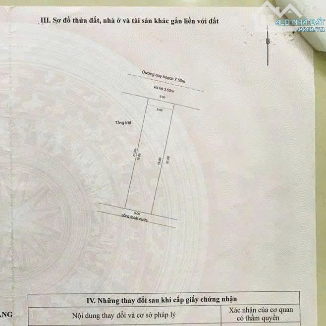 Bất động sản tại Đà Nẵng - ảnh 1