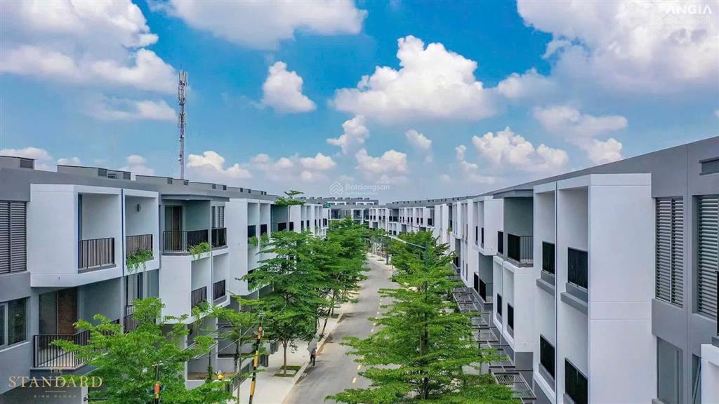 Bất động sản tại Bình Dương - ảnh 1