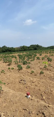 Bất động sản tại Đồng Nai - ảnh 1