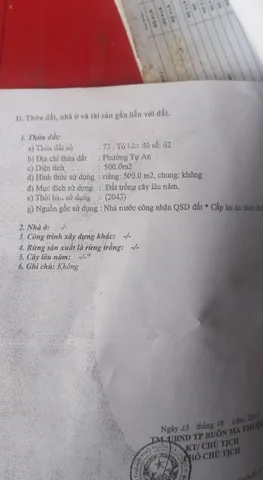 Bất động sản tại Đắk Lắk - ảnh 1