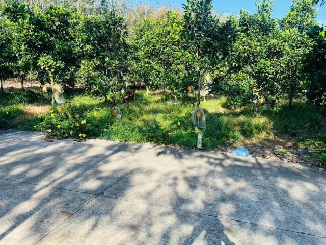 Bất động sản tại Bình Dương - ảnh 1
