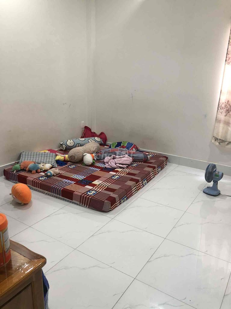 Nhà riêng tại 12, TP. Hồ Chí Minh - ảnh 4