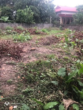 Bất động sản tại Hà Nam - ảnh 1