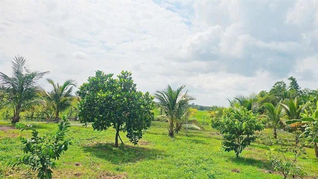 Bất động sản tại Bà Rịa - Vũng Tàu - ảnh 1