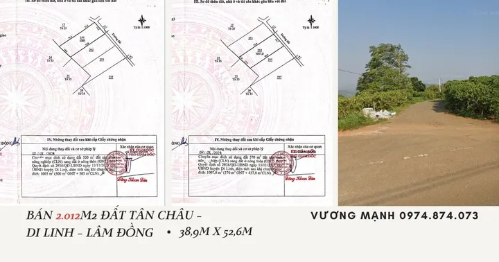 Bất động sản tại Lâm Đồng - ảnh 1