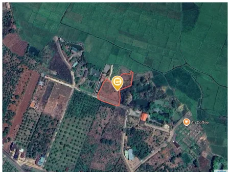 Bất động sản tại Đắk Lắk - ảnh 1