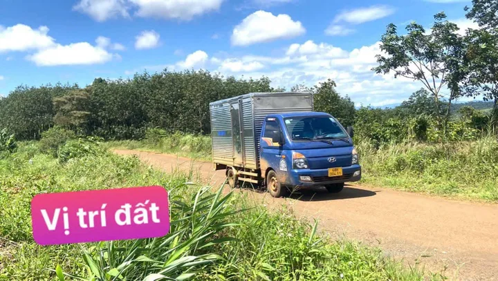 Bất động sản tại Lâm Đồng - ảnh 1