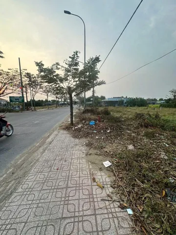 Bất động sản tại Long An - ảnh 1