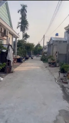 Bất động sản tại Long An - ảnh 1