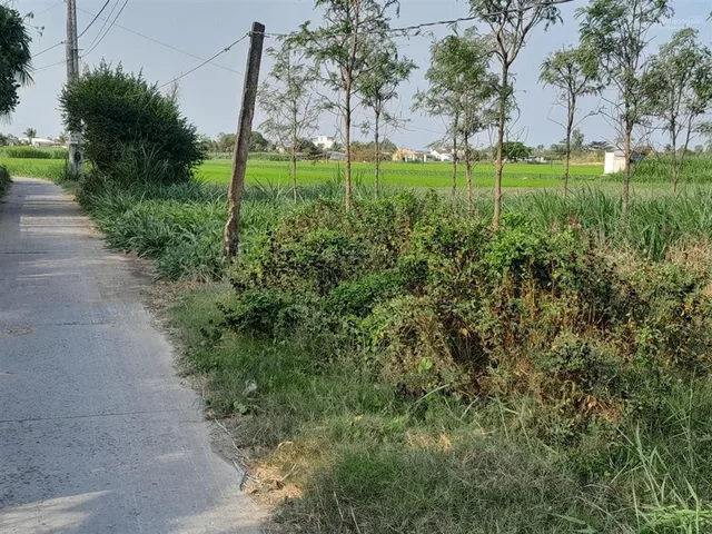 Bất động sản tại Tiền Giang - ảnh 1