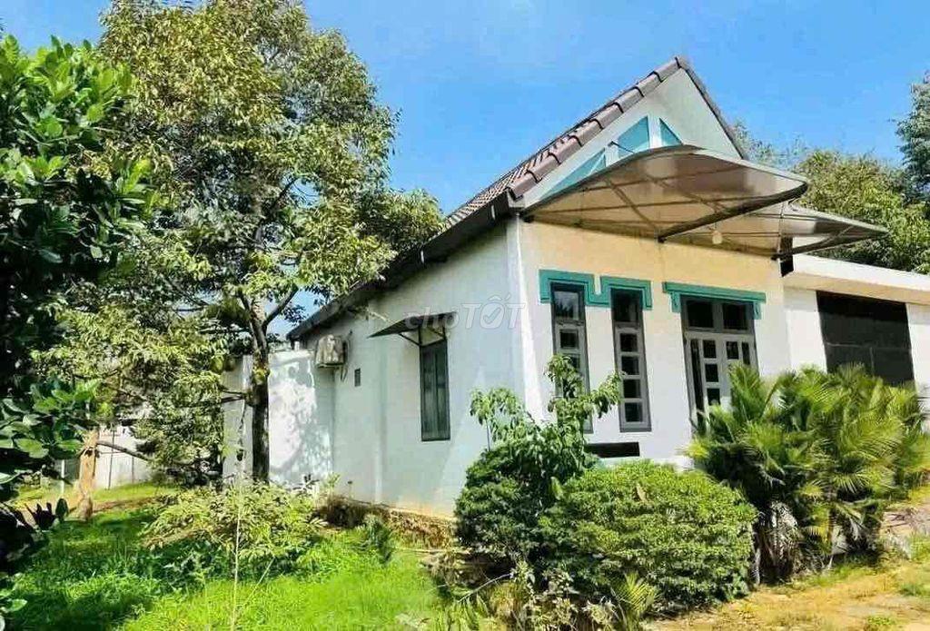 Bất động sản tại Bình Dương - ảnh 1