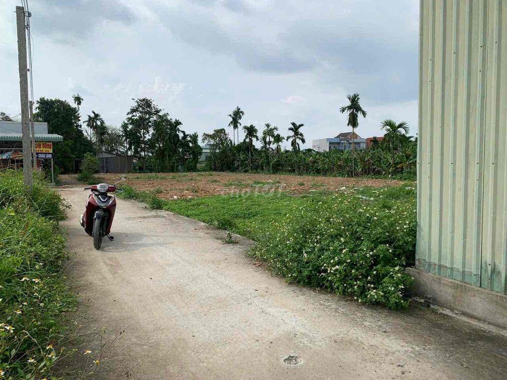 Bất động sản tại Bình Dương - ảnh 1