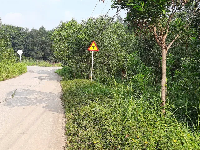 Bất động sản tại Bình Dương - ảnh 1