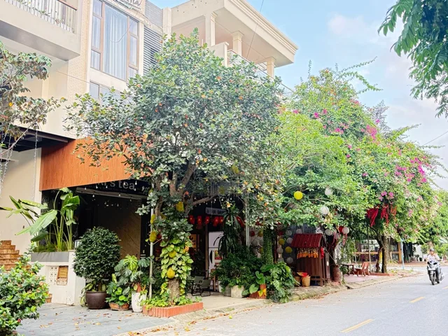 Bất động sản tại Bắc Ninh - ảnh 1