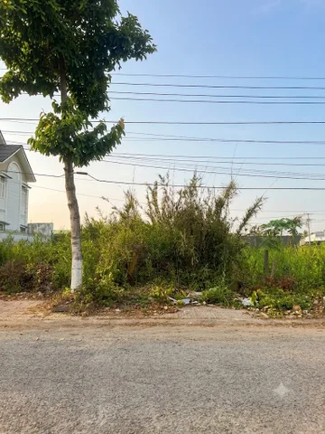 Bất động sản tại Vĩnh Long - ảnh 1