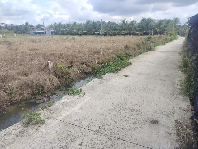 Bất động sản tại Tiền Giang - ảnh 1