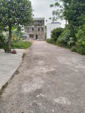 Bất động sản tại Hải Phòng - ảnh 1