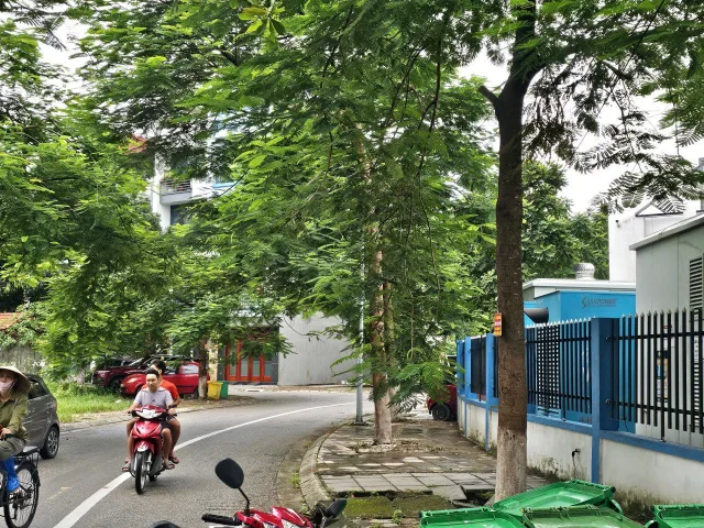Bất động sản tại Bắc Ninh - ảnh 1