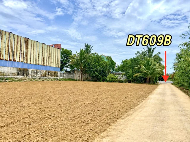 Bất động sản tại Đà Nẵng - ảnh 1