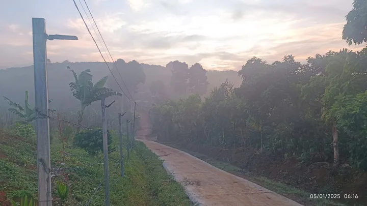 Bất động sản tại Lâm Đồng - ảnh 1