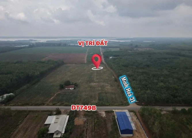 Bất động sản tại Bình Dương - ảnh 1